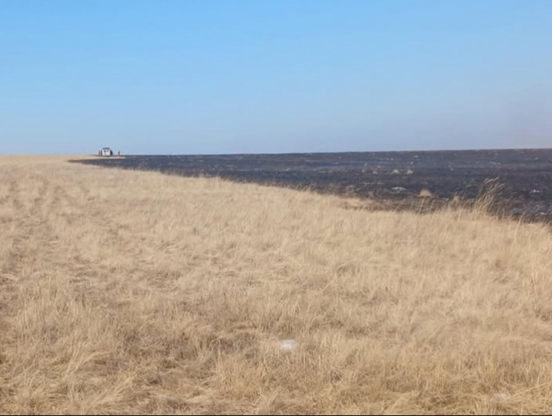 Нийт нутгаар хуурайшилт ихтэй байна